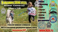 Открытый чемпионат и первенство ПКГО по бесснежным дисциплинам ездового спорта Открытый чемпионат и первенство ПКГО по бесснежным дисциплинам ездового спорта